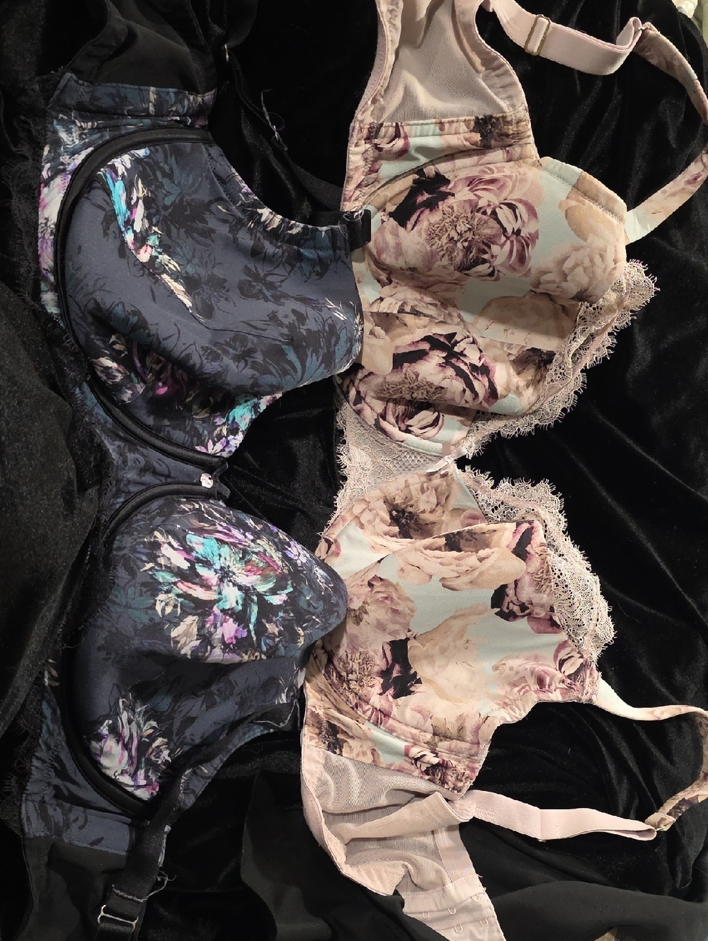 Cacique Floral Underwire Balconette Bra Duo - Black Floral & Blush Floral 40F